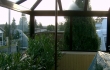 Wintergarten56
