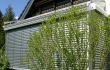 Wintergarten00000