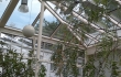 Wintergarten00029