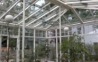 Wintergarten00030