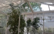 Wintergarten00032