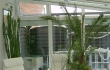 Wintergarten00138